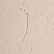 Cream Accessory Color